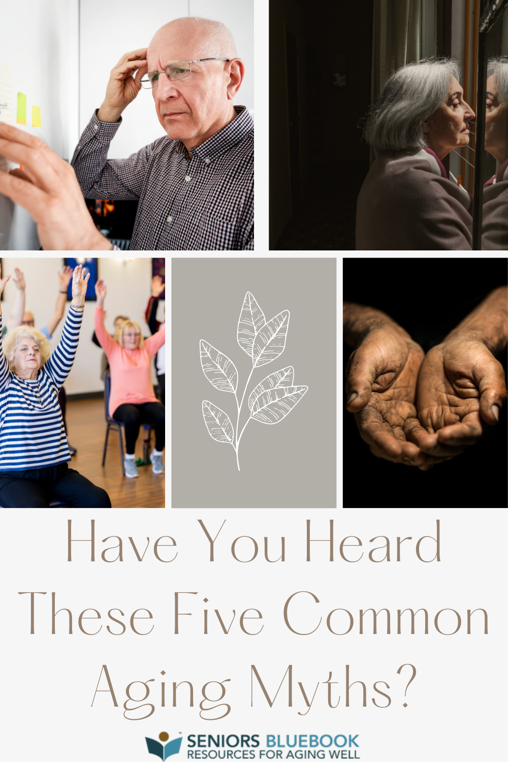 Articles - Have You Heard These Five Common Aging Myths? | Seniors